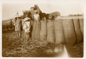 Life on Avon Down farm during the 1930s