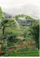 bandung_valley