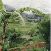 bandung_valley