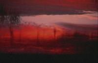 eye_of_the_storm