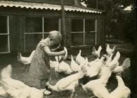 img054
