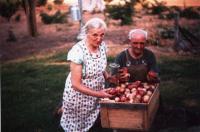 Jacoba and Johannes, 1963
