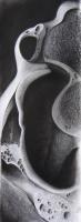 lotus_eater-cropped_curved