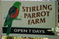 rutte_parrot-farm